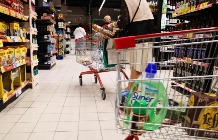 quali supermercati sono aperti l'11 novembre?