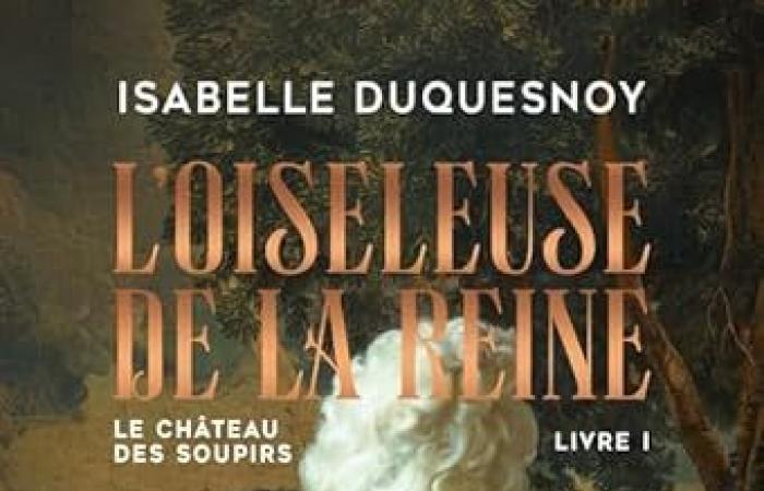 Il castello dei sospiri, libro 1 Isabelle Duquesnoy