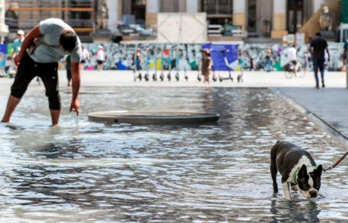 Clima: due belgi su tre riconoscono che dovranno cambiare il loro stile di vita