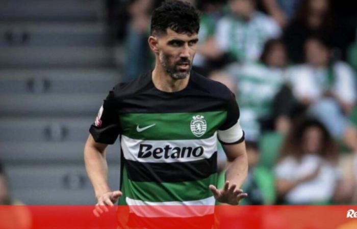 Luís Neto confermato nel comitato tecnico di João Pereira – Sporting