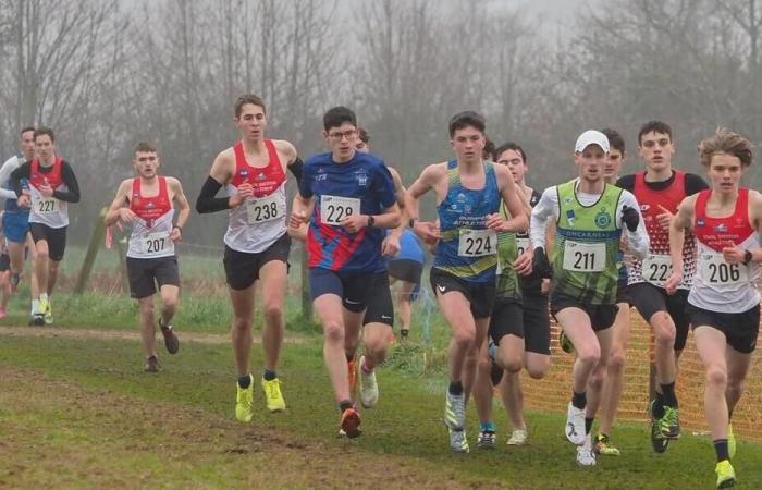 Centre-Finistère – 500 corridori attesi per la corsa campestre di atletica leggera di Quimper, lunedì 11 novembre