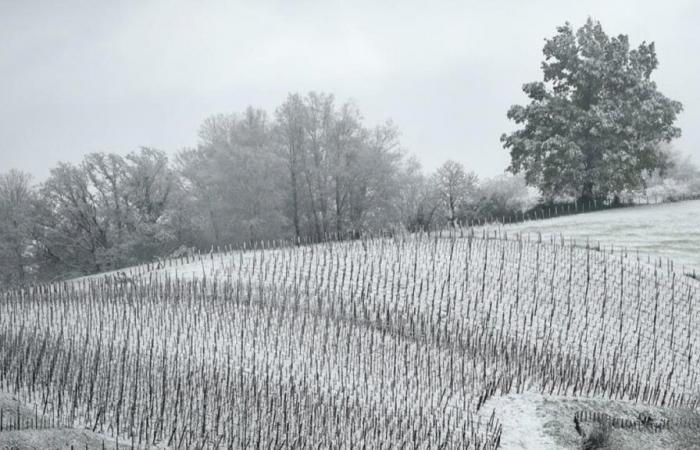 ecco i 5 luoghi in cui è prevista neve questa settimana