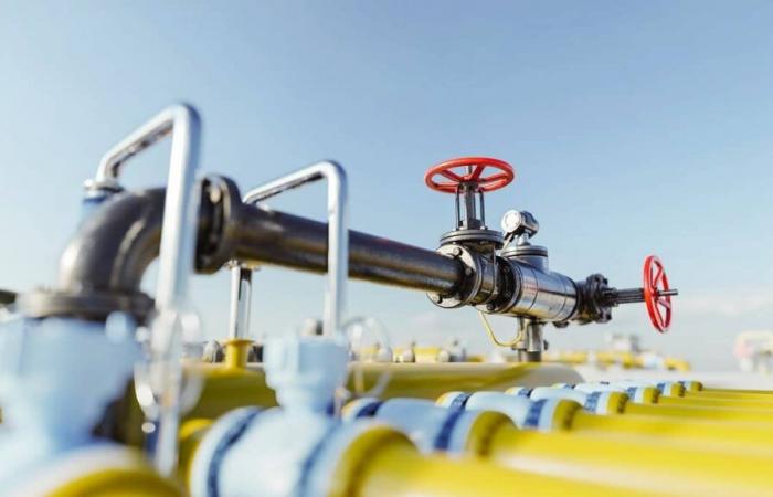 L’Algeria mette fine ai sussidi sistematici sui prezzi del gas per gli industriali