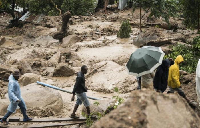 Nelle notizie: l’Africa duramente colpita dal cambiamento climatico