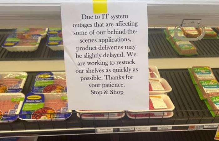 La società madre di Hannaford afferma che i problemi di sicurezza informatica hanno interessato i servizi