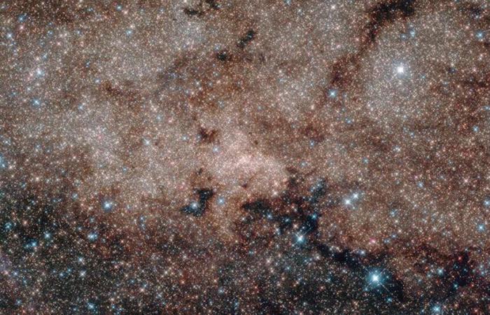 Il centro della Via Lattea bombarda la Terra con “alcuni dei processi fisici più estremi del nostro Universo”!