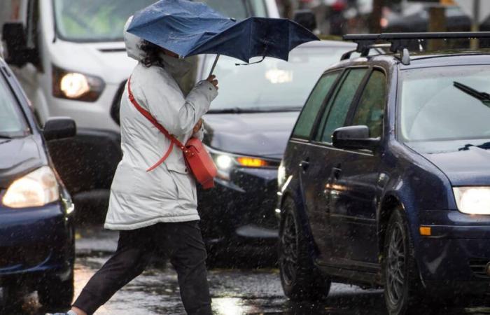 Il tempo in Quebec: tempo cupo con precipitazioni nel Giorno della Memoria