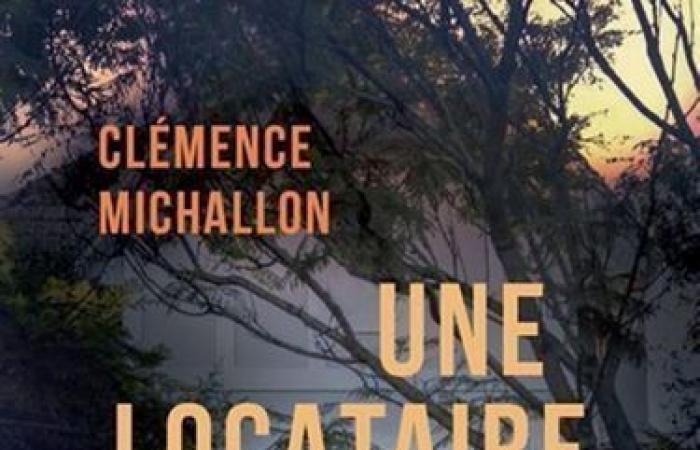 Clémence Michallon: suspense americana