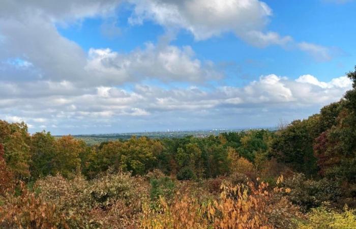 Quanto durerà l’autunno caldo del RI? Vedi le prospettive di novembre