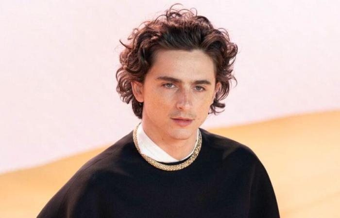 Aneddoto: Quella volta a Timothée Chalamet fu chiesto di ingrassare