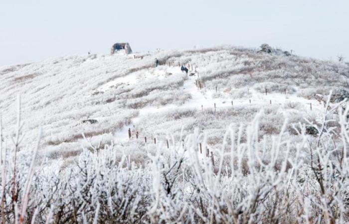 Atmosfera invernale, dove farà più freddo questa settimana?