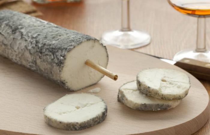 Pratico. Il formaggio fa così male alla salute?