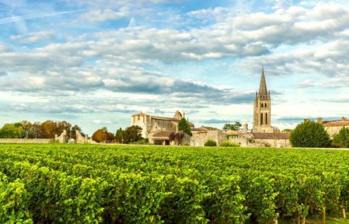 Perché lo spumante potrebbe salvare i vigneti di Bordeaux dalla stasi