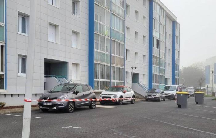 Il sospettato dell’“omicidio del coniuge” a Sables-d’Olonne resta sotto controllo giudiziario