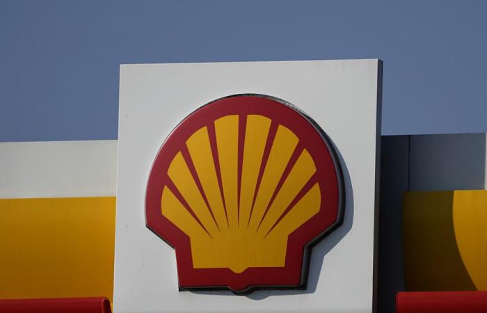 Le ONG hanno respinto il ricorso in appello nella causa sul clima contro Shell