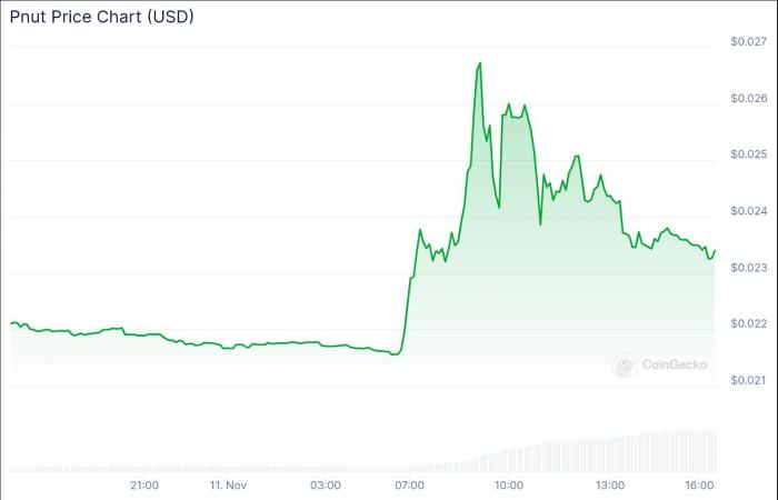 Le migliori criptovalute da acquistare ora l’11 novembre