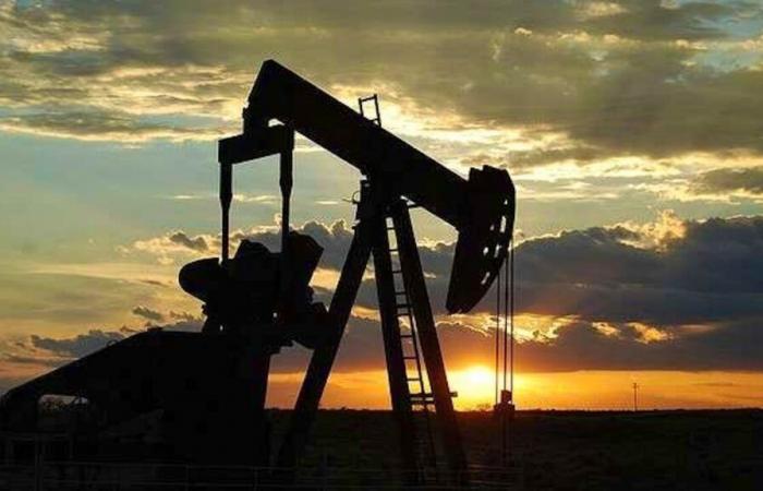 Secondo l’OPEC: crescita della domanda di petrolio rivista al ribasso nel 2024-25