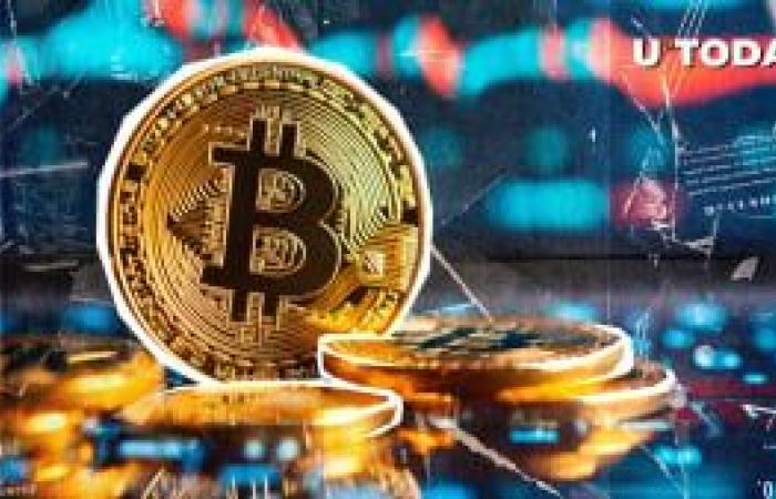 Peter Schiff reagisce allo storico aumento di Bitcoin sopra gli 82.000 dollari