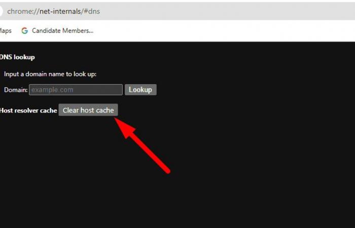 Impossibile trovare l’indirizzo DNS in Windows 11