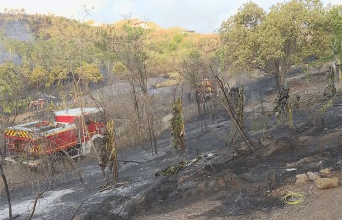 una ventina di ettari bruciati a Païta