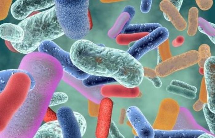 Il microbioma intestinale, una chiave per predire l’artrite reumatoide?