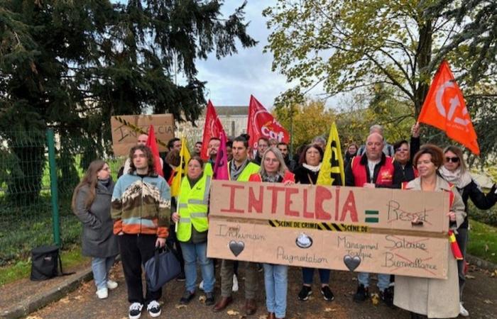 “Abbiamo paura per il nostro lavoro”, sciopero “massiccio” al call center Intelcia di Laval