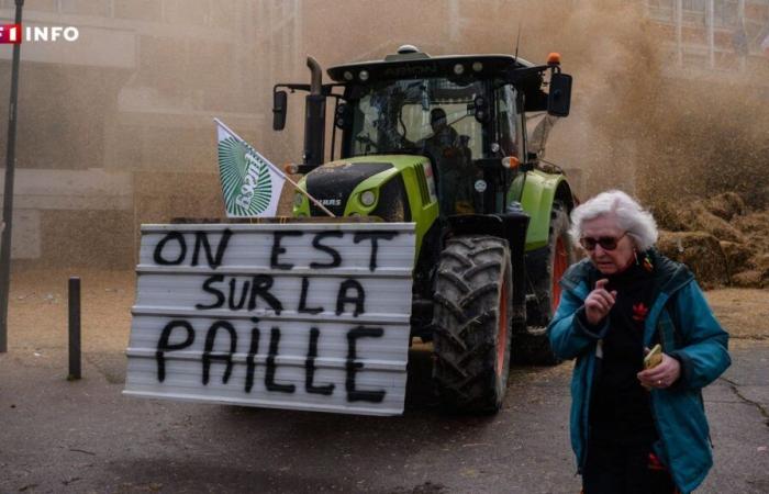 Agricoltori arrabbiati: perché la mobilitazione riprende quasi ovunque in Francia