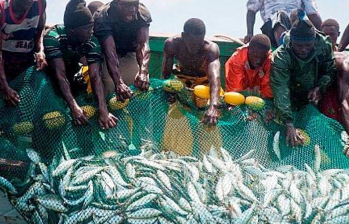 FINE DEGLI ACCORDI DI PESCA UE-SENEGAL UN SUO SOLLIEVO