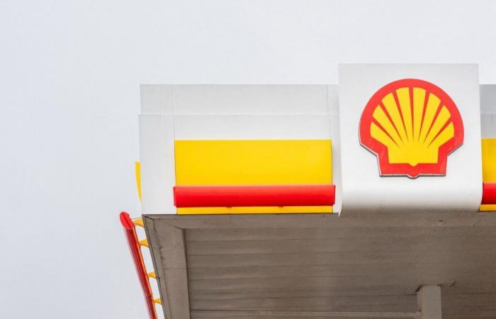 Le ONG respingono il ricorso contro la Shell