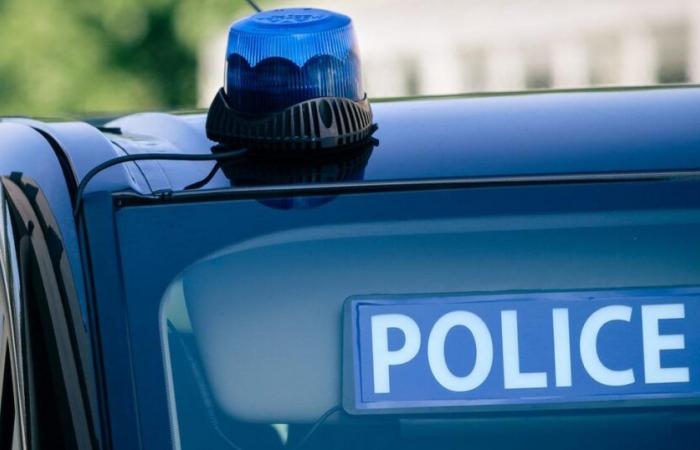 un adolescente radicalizzato di origine cecena arrestato a Sarthe