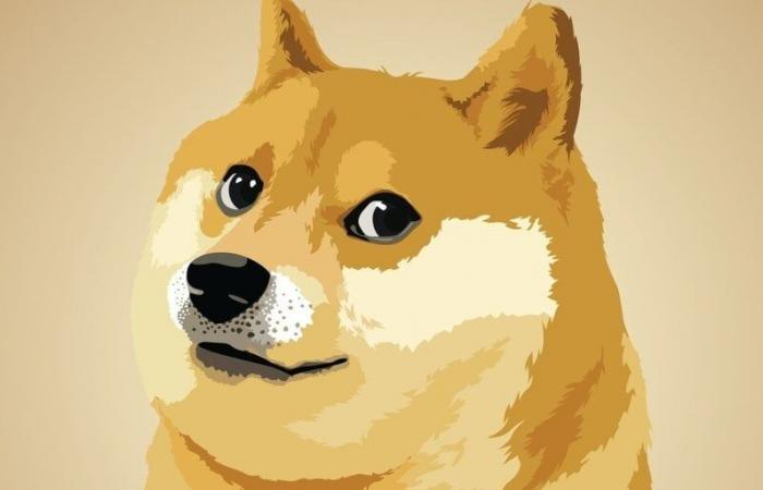 Dogecoin raggiunge il picco di 43 centesimi durante la continua gioia elettorale