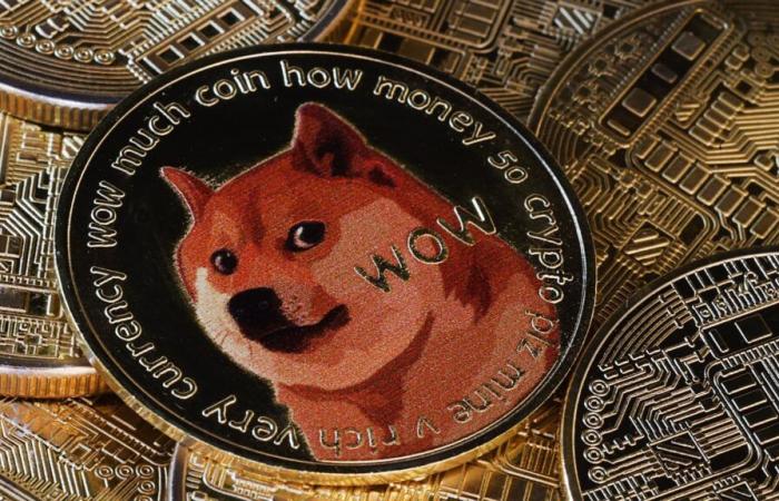 Dogecoin sale del 20% dopo che Trump ha annunciato un Dipartimento per l'efficienza governativa: DOGE