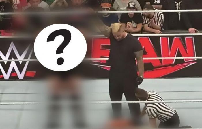 Spoiler WWE RAW: sono noti gli ultimi partecipanti alla Survivor Series WarGames 2024?