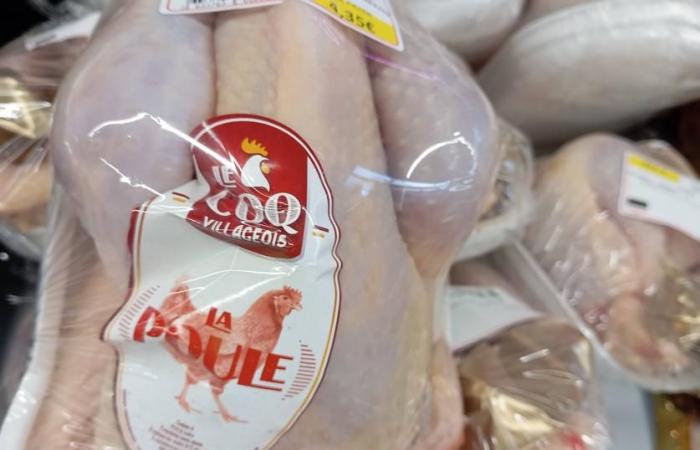 Prezzo delle galline ovaiole – Quotazione effettuata l’8 novembre 2024