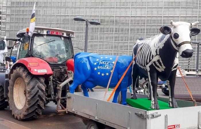 I trattori sono tornati: mercoledì gli agricoltori manifesteranno a Bruxelles, si prevedono problemi di traffico