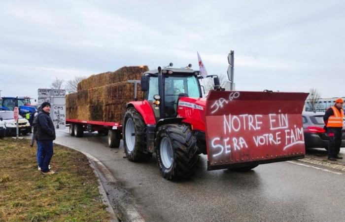 I contadini dell'Oise manifesteranno lunedì 18 novembre a Beauvais