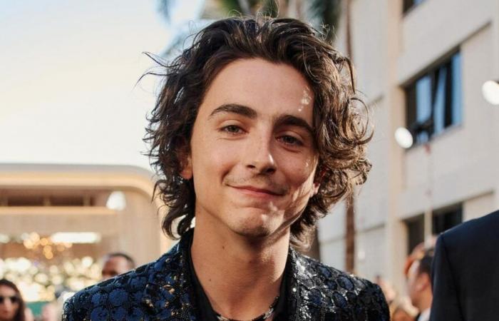 Timothée Chalamet racconta che un agente gli ha consigliato di “ingrassare” per avere successo nel suo debutto