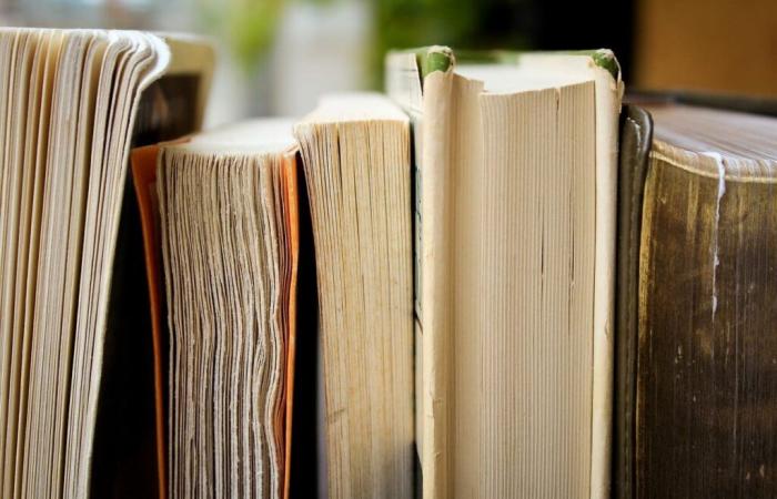 Festi'livres, il nuovo incontro libresco a Vauvert