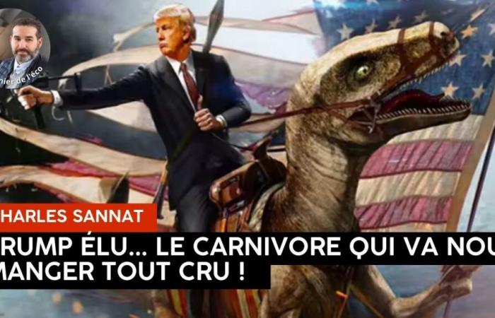 “Eletto Trump, ci mangerà vivi! “. Editoriale di Charles SANNAT