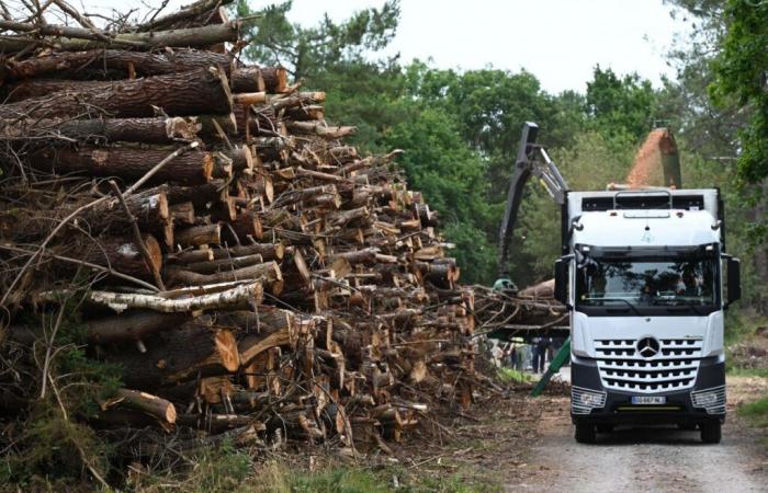 Tempesta Ciarán. Quali aiuti finanziari a La Manche?