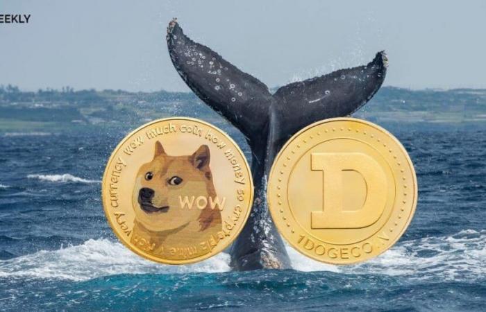 Il ritorno esplosivo di Dogecoin: $ 0,41 oggi, $ 2,40 domani?