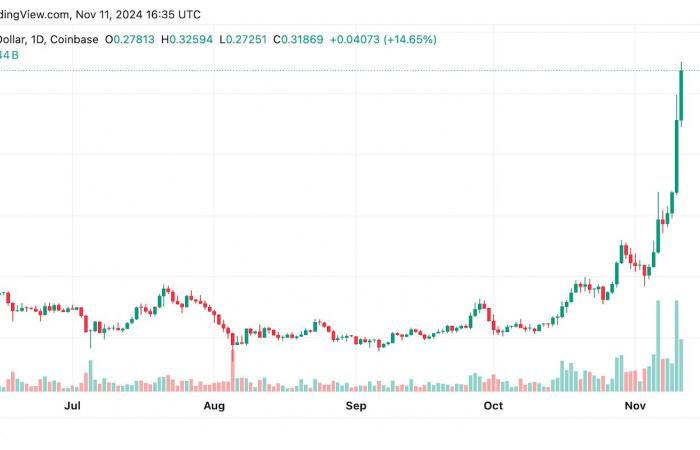 Le migliori criptovalute da acquistare ora l’11 novembre