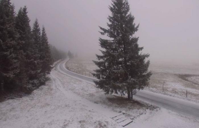 La prima neve della stagione è caduta sulle alture dell'Alta Loira