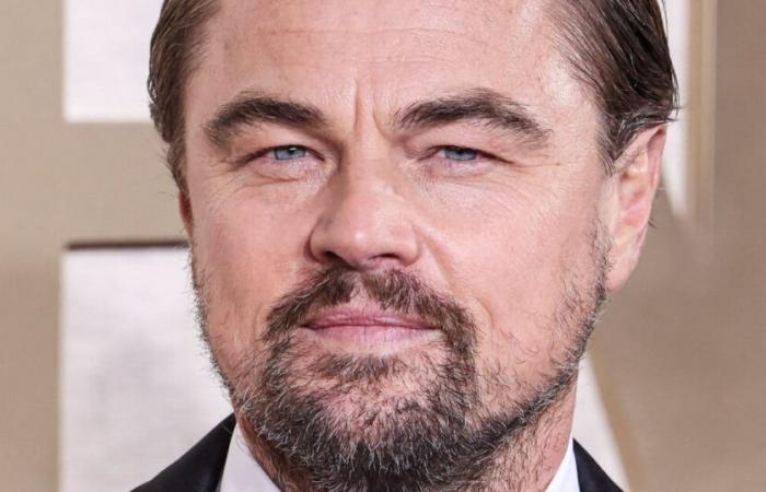 Leonardo DiCaprio festeggia i suoi 50 anni: Brad Pitt e Ines de Ramon innamorati alla serata che ha riunito 500 invitati