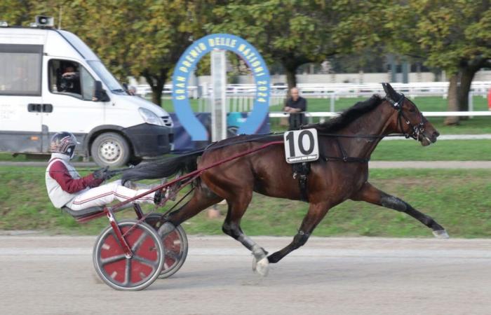 Ginostrabliggi protagonista del Gran Premio Anact di Torino