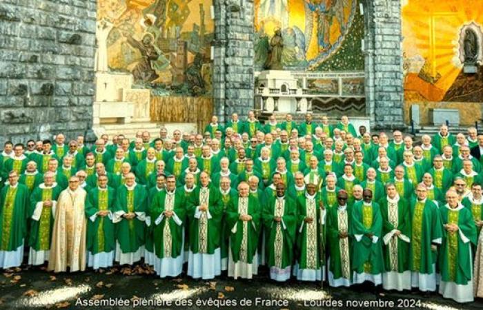 Assemblea plenaria dei vescovi di Francia, quali risultati? -ZENIT