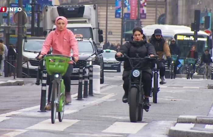 “Dovrebbero essere sulla strada”: perché le “fat bike” sono le nuove nemesi delle piste ciclabili