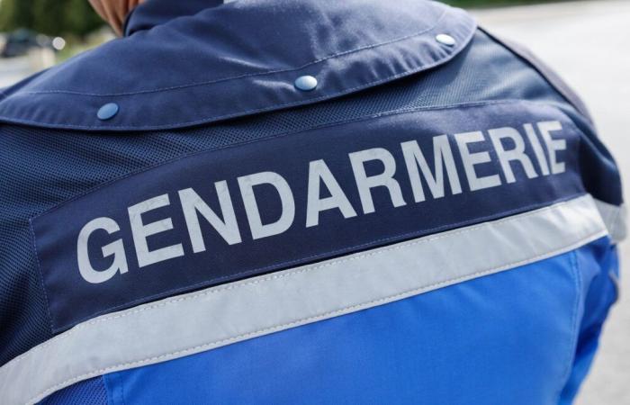 Tre bambini trovati morti in una casa, cercata la madre