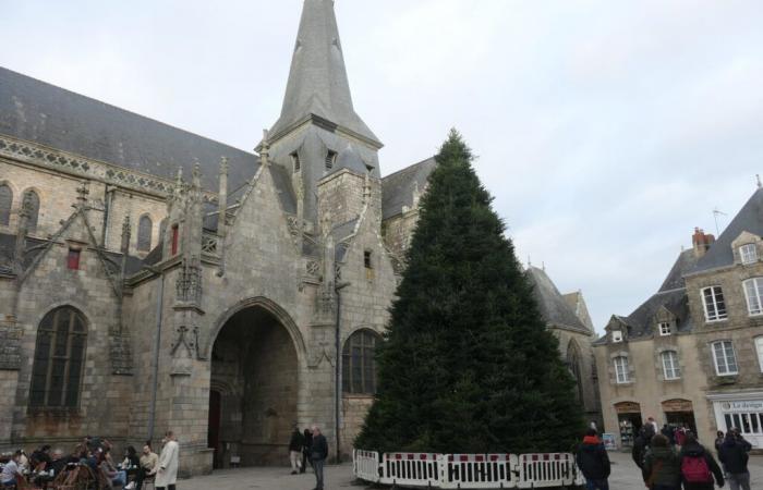 a Guérande l'albero di Natale gigante è già montato!