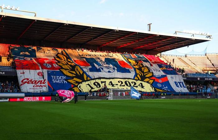 [MHSC-SB29] La folla dell'incontro e il successo dei festeggiamenti (foto e video)!